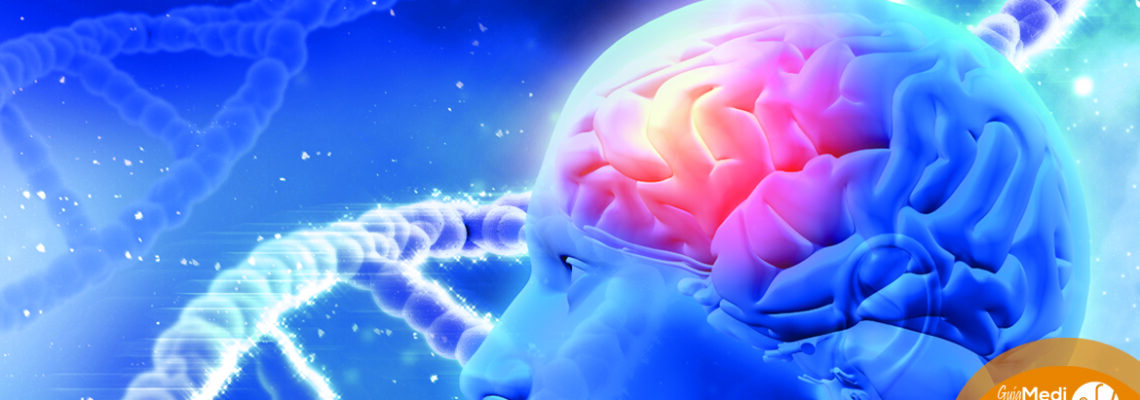 Tumores Cerebrales