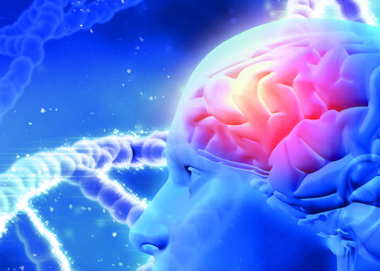 Tumores Cerebrales