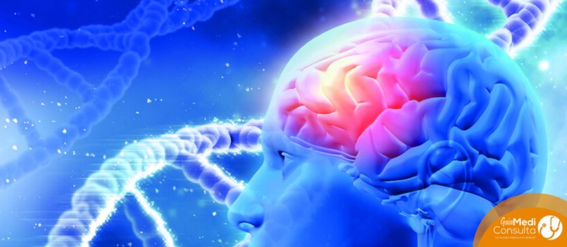 Tumores Cerebrales