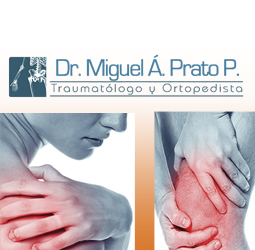Dr. Miguel A. Prato P.