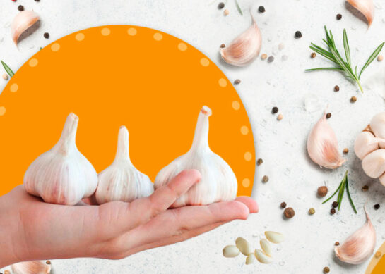 Beneficios del Ajo