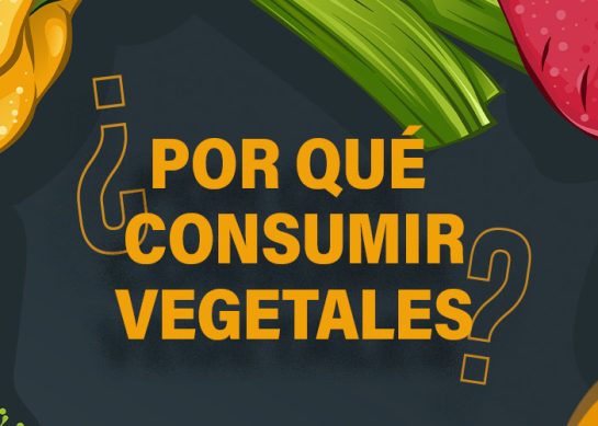 ¿POR QUÉ CONSUMIR VEGETALES?