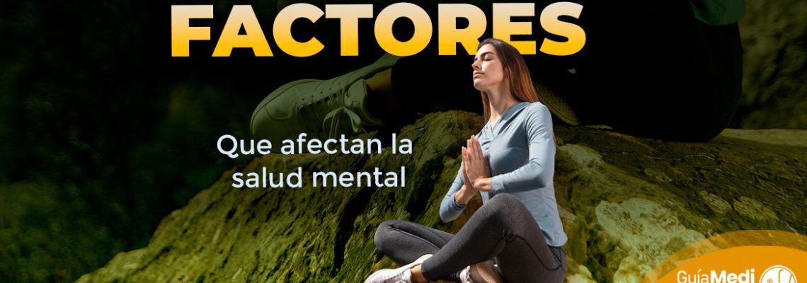 FACTORES QUE AFECTAN LA SALUD MENTAL