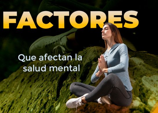 FACTORES QUE AFECTAN LA SALUD MENTAL